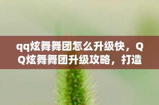 qq炫舞舞团怎么升级快，QQ炫舞舞团升级攻略，打造顶尖舞团，引领炫舞潮流！