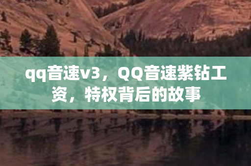 qq音速v3，QQ音速紫钻工资，特权背后的故事