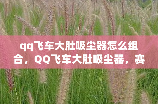 qq飞车大肚吸尘器怎么组合,QQ飞车大肚吸尘器,赛场上的吸尘利器 qq飞车大肚吸尘器怎么组合,QQ飞车大肚吸尘器,赛场上的吸尘利器