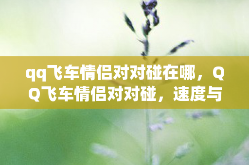 qq飞车情侣对对碰在哪,QQ飞车情侣对对碰,速度与爱情的完美交融 qq飞车情侣对对碰在哪,QQ飞车情侣对对碰,速度与爱情的完美交融