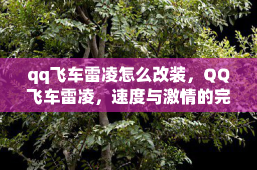 qq飞车雷凌怎么改装，QQ飞车雷凌，速度与激情的完美融合