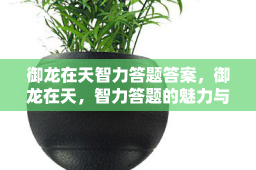 御龙在天智力答题答案，御龙在天，智力答题的魅力与挑战