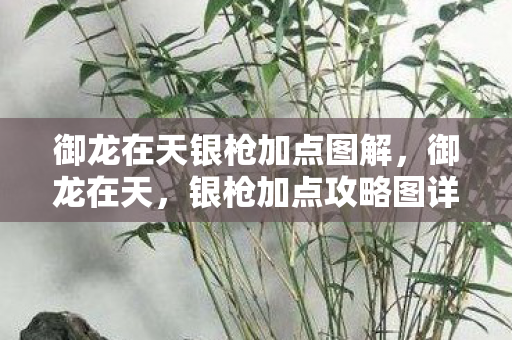 御龙在天银枪加点图解，御龙在天，银枪加点攻略图详解