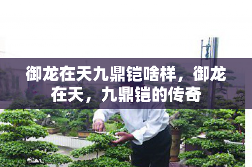 御龙在天九鼎铠啥样，御龙在天，九鼎铠的传奇