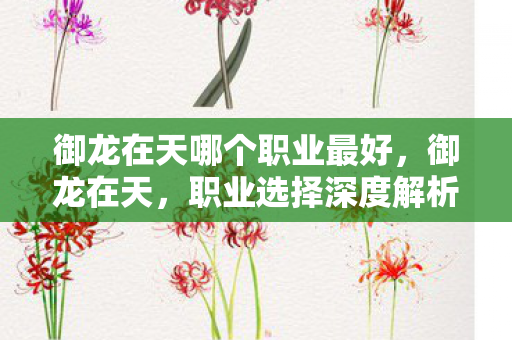 御龙在天哪个职业最好，御龙在天，职业选择深度解析，哪个职业更适合你？