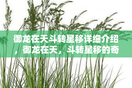 御龙在天斗转星移详细介绍，御龙在天，斗转星移的奇幻之旅