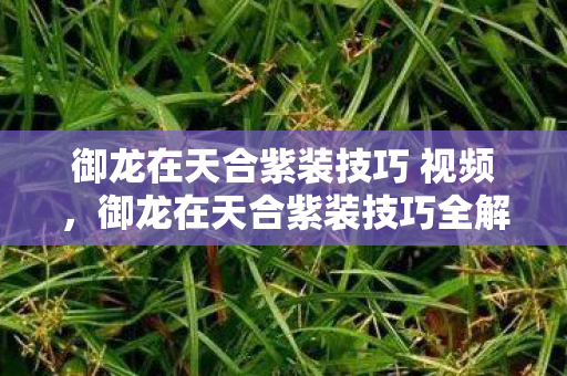 御龙在天合紫装技巧 视频，御龙在天合紫装技巧全解析