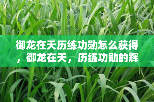 御龙在天历练功勋怎么获得，御龙在天，历练功勋的辉煌之路