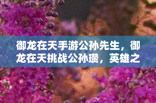 御龙在天手游公孙先生，御龙在天挑战公孙瓒，英雄之路的试炼