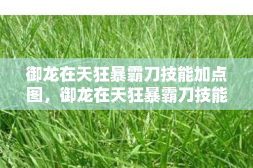 御龙在天狂暴霸刀技能加点图，御龙在天狂暴霸刀技能加点攻略