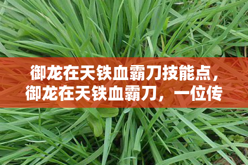 御龙在天铁血霸刀技能点，御龙在天铁血霸刀，一位传奇玩家的成长之路