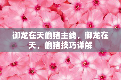 御龙在天偷猪主线,御龙在天,偷猪技巧详解 御龙在天偷猪主线,御龙在天,偷猪技巧详解