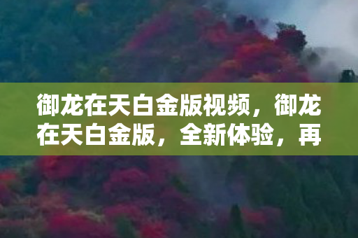 御龙在天白金版视频，御龙在天白金版，全新体验，再战江湖！