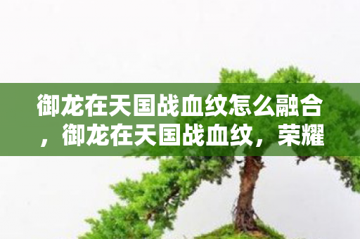 御龙在天国战血纹怎么融合，御龙在天国战血纹，荣耀与传奇的交织