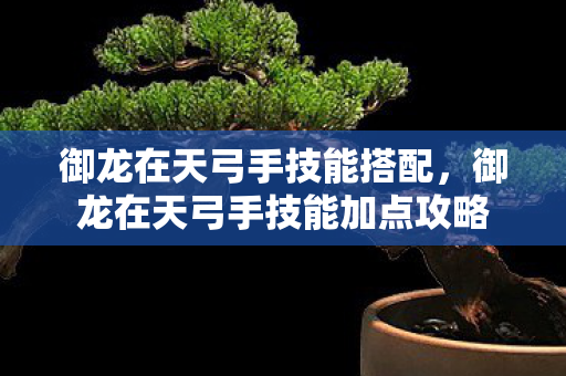 御龙在天弓手技能搭配，御龙在天弓手技能加点攻略