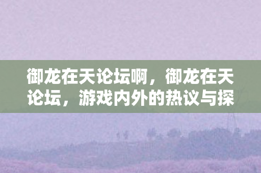 御龙在天论坛啊，御龙在天论坛，游戏内外的热议与探索