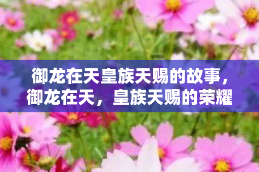 御龙在天皇族天赐的故事，御龙在天，皇族天赐的荣耀与传奇