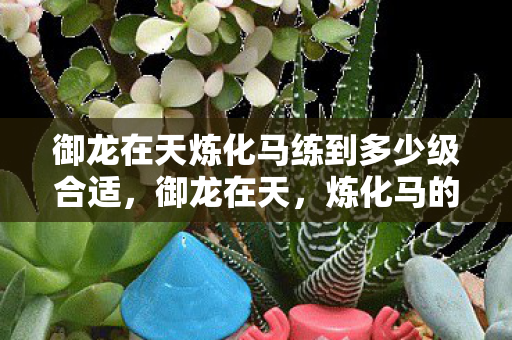 御龙在天炼化马练到多少级合适，御龙在天，炼化马的奥秘