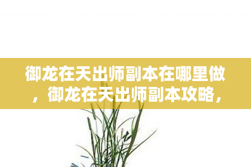 御龙在天出师副本在哪里做，御龙在天出师副本攻略，轻松挑战，赢取丰厚奖励