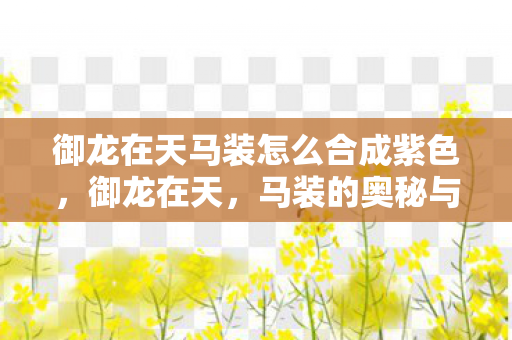 御龙在天马装怎么合成紫色，御龙在天，马装的奥秘与魅力