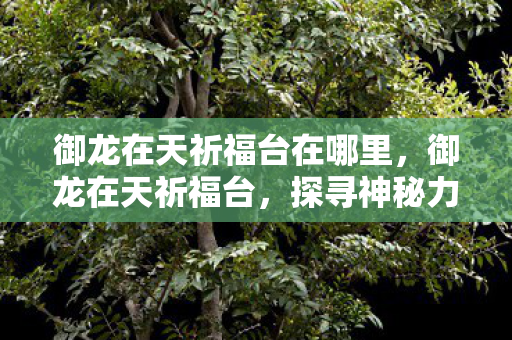 御龙在天祈福台在哪里，御龙在天祈福台，探寻神秘力量的源泉