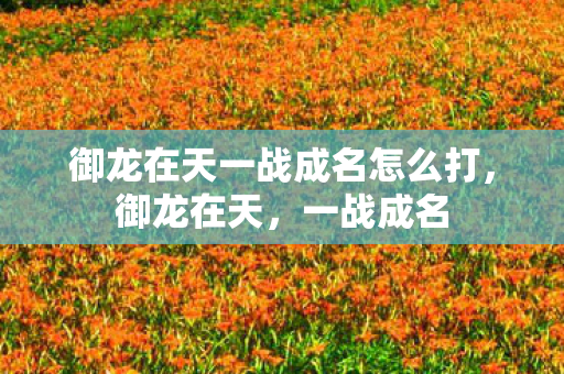 御龙在天一战成名怎么打，御龙在天，一战成名
