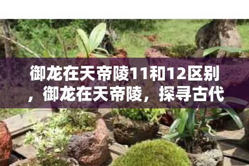 御龙在天帝陵11和12区别，御龙在天帝陵，探寻古代皇陵的神秘面纱