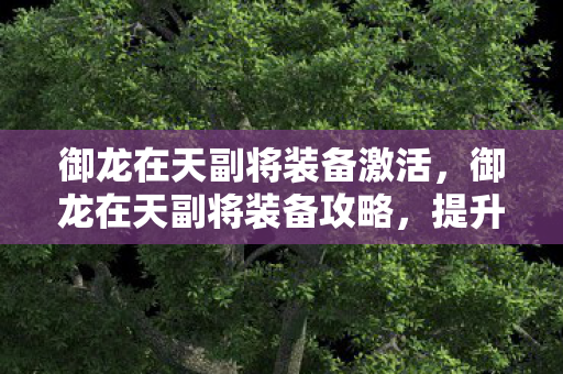 御龙在天副将装备激活，御龙在天副将装备攻略，提升战斗力的关键所在