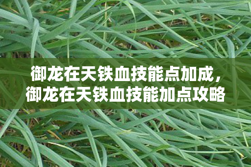 御龙在天铁血技能点加成，御龙在天铁血技能加点攻略，打造无敌战士