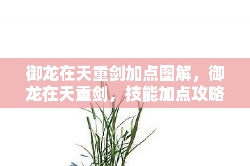 御龙在天重剑加点图解，御龙在天重剑，技能加点攻略与实战解析