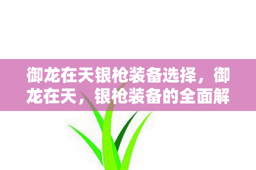 御龙在天银枪装备选择，御龙在天，银枪装备的全面解析