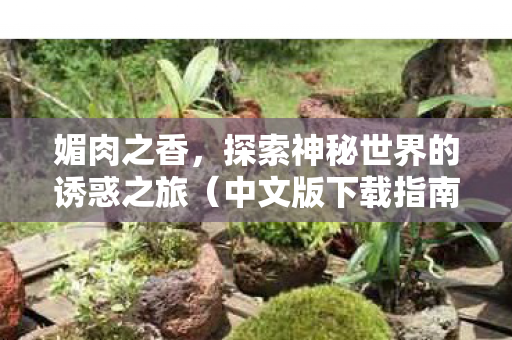 媚肉之香，探索神秘世界的诱惑之旅（中文版下载指南）