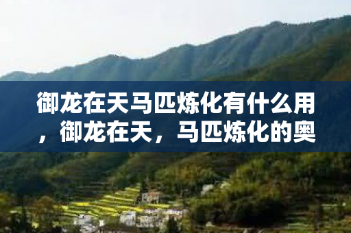 御龙在天马匹炼化有什么用,御龙在天,马匹炼化的奥秘 御龙在天马匹炼化有什么用,御龙在天,马匹炼化的奥秘