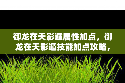 御龙在天影遁属性加点，御龙在天影遁技能加点攻略，掌握核心，轻松提升角色实力