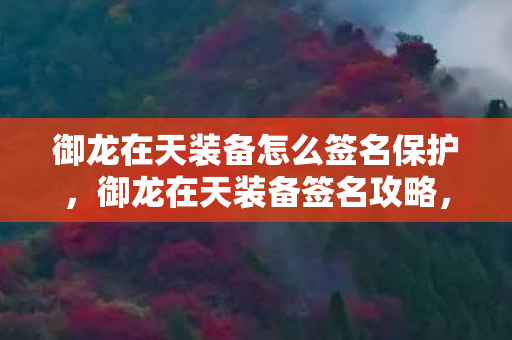 御龙在天装备怎么签名保护，御龙在天装备签名攻略，让你的装备独一无二