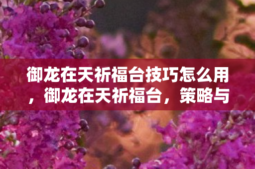 御龙在天祈福台技巧怎么用，御龙在天祈福台，策略与技巧的深度解析