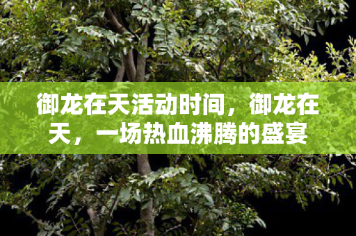 御龙在天活动时间，御龙在天，一场热血沸腾的盛宴