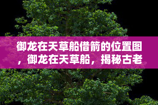 御龙在天草船借箭的位置图，御龙在天草船，揭秘古老传说中的英勇传奇