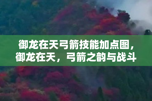 御龙在天弓箭技能加点图，御龙在天，弓箭之韵与战斗之魂