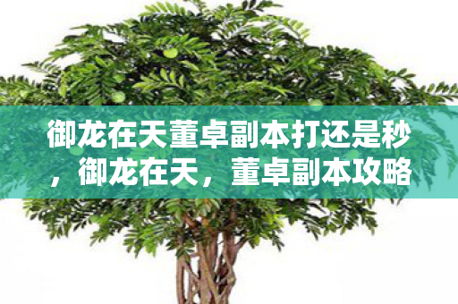 御龙在天董卓副本打还是秒，御龙在天，董卓副本攻略详解