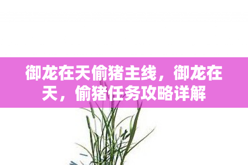 御龙在天偷猪主线，御龙在天，偷猪任务攻略详解