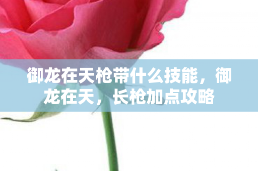 御龙在天枪带什么技能，御龙在天，长枪加点攻略
