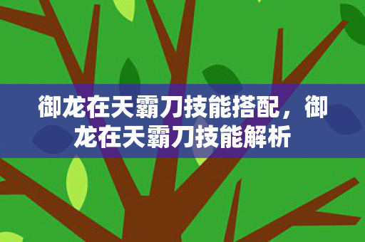 御龙在天霸刀技能搭配，御龙在天霸刀技能解析