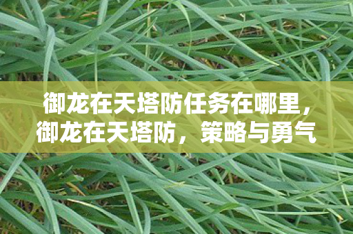 御龙在天塔防任务在哪里,御龙在天塔防,策略与勇气的完美结合 御龙在天塔防任务在哪里,御龙在天塔防,策略与勇气的完美结合