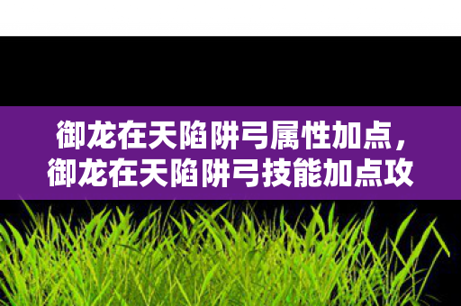 御龙在天陷阱弓属性加点,御龙在天陷阱弓技能加点攻略 御龙在天陷阱弓属性加点,御龙在天陷阱弓技能加点攻略
