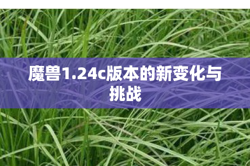 魔兽1.24c版本的新变化与挑战