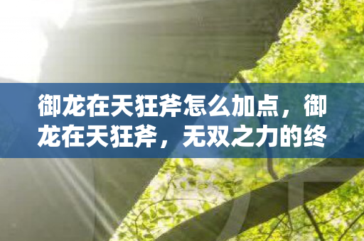 御龙在天狂斧怎么加点，御龙在天狂斧，无双之力的终极展现