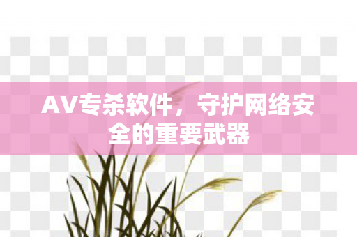 AV专杀软件，守护网络安全的重要武器