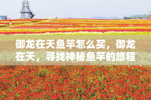 御龙在天鱼竿怎么买，御龙在天，寻找神秘鱼竿的旅程