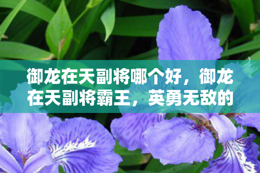 御龙在天副将哪个好，御龙在天副将霸王，英勇无敌的传奇人物